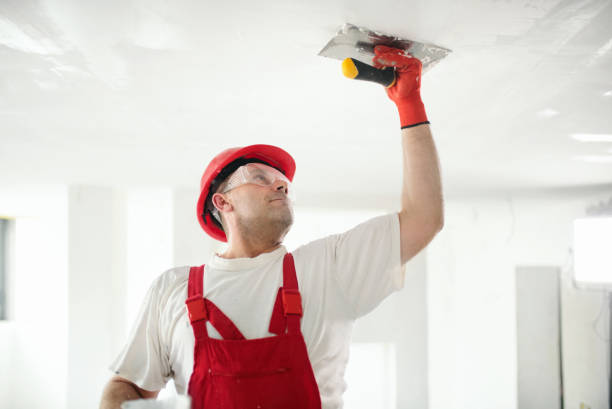  Kronenwetter, WI Mold Removal Pros