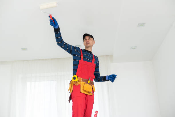 Trusted Kronenwetter, WI Mold Removal Experts